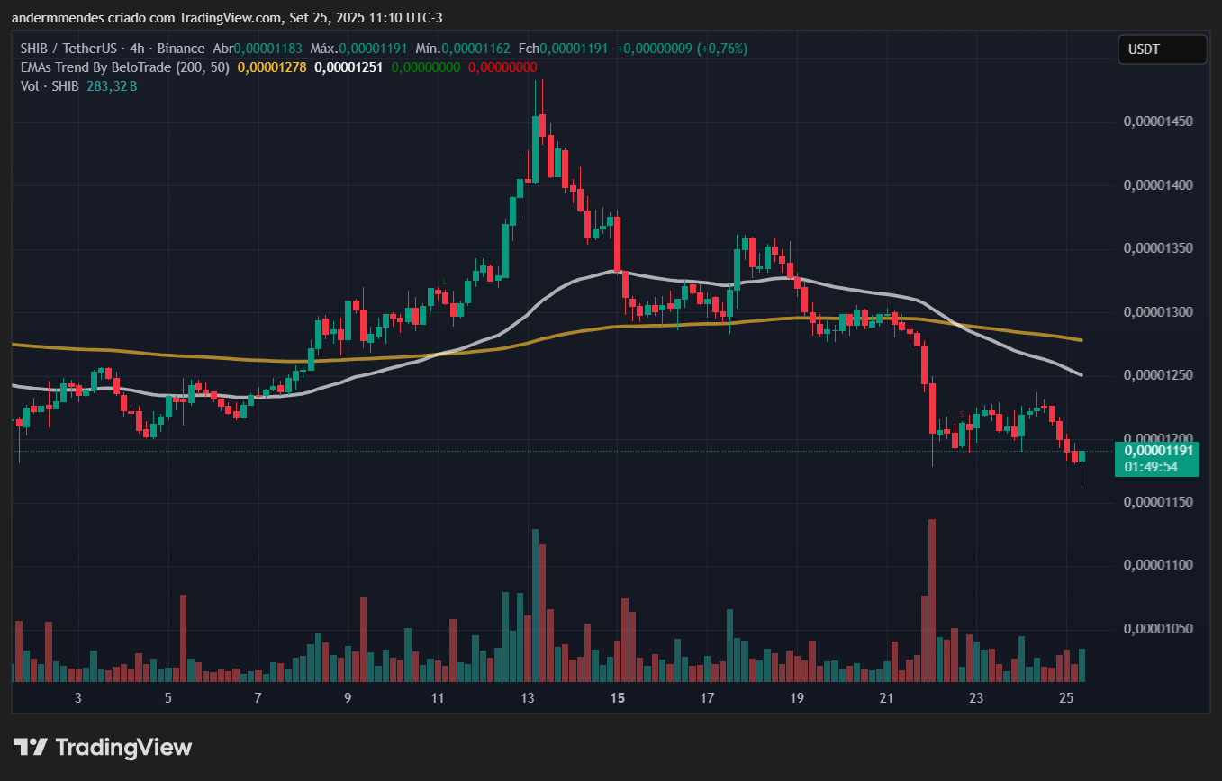 Gráfico da Shiba Inu (SHIB) no TradingView