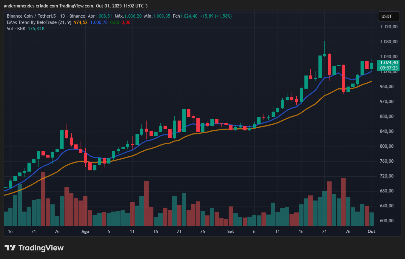 Gráfico do BNB no TradingView