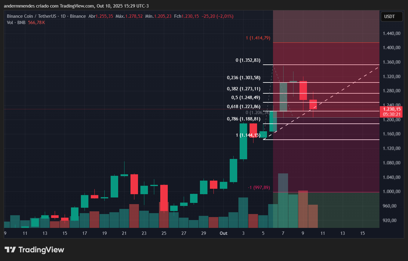 Gráfico do BNB no TradingView