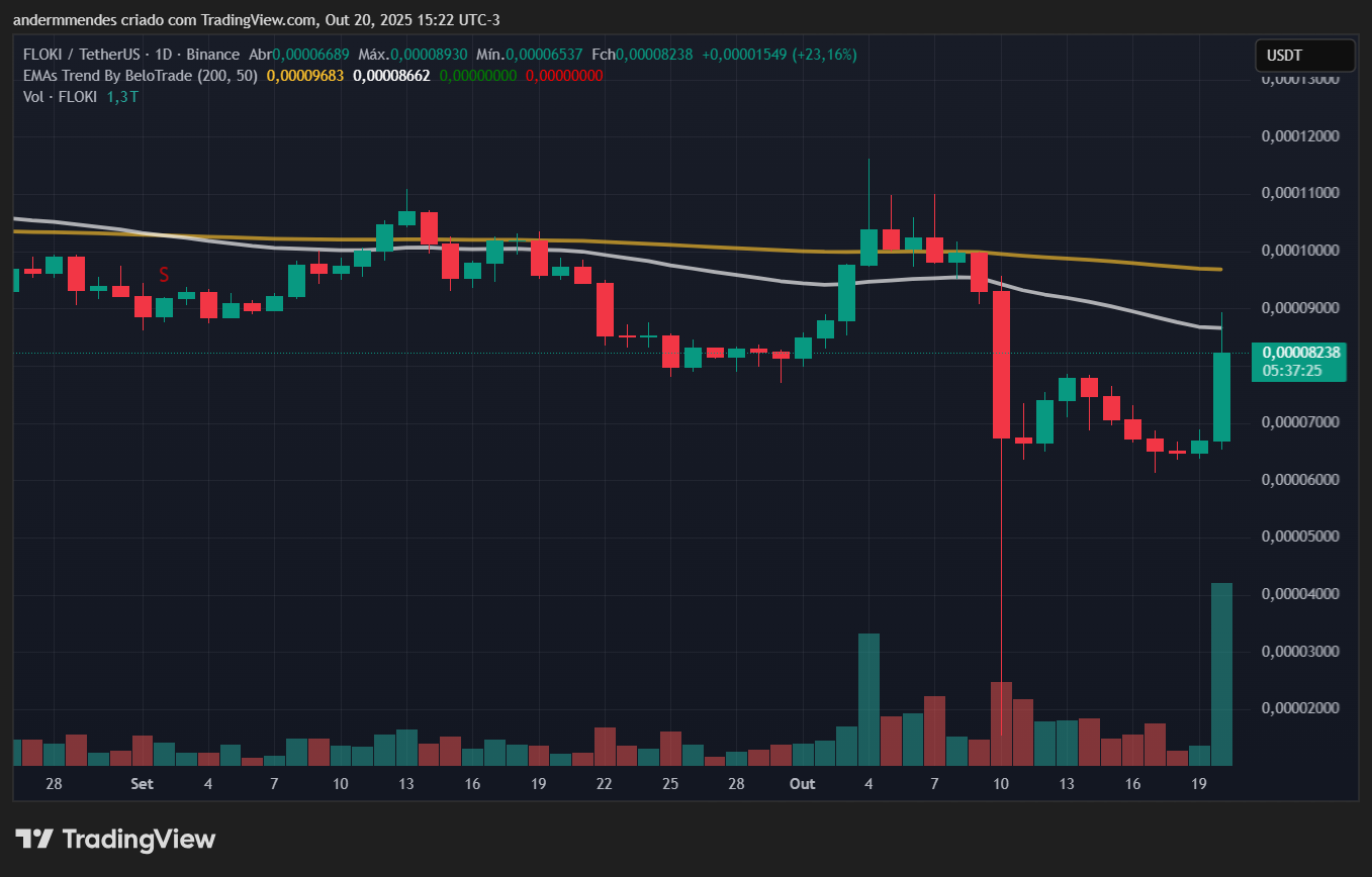 Gráfico da FLOKI no TradingView
