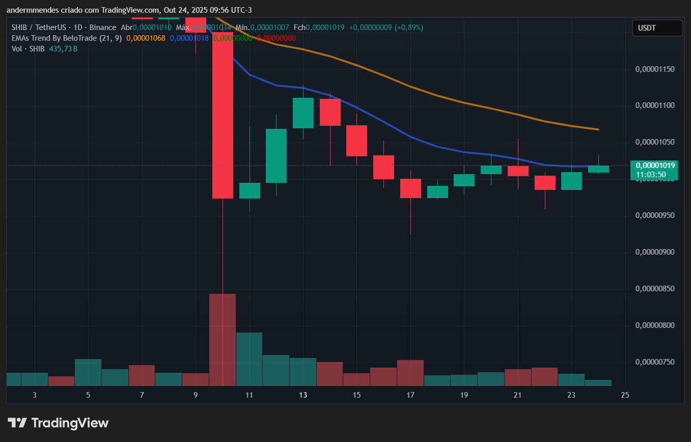Gráfico da Shiba Inu (SHIB) no TradingView
