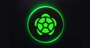Turtle Coin: novo projeto Web3