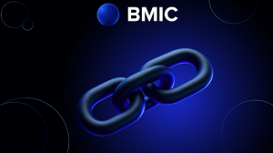 BMIC
